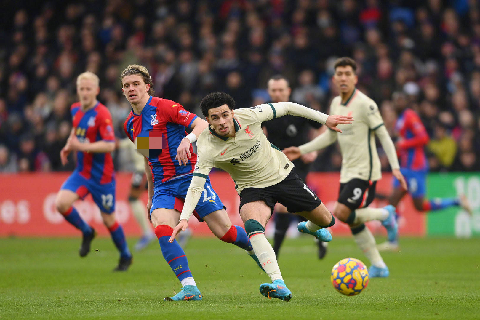 引进新的进 引进新的进